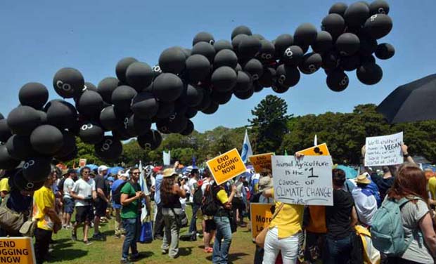 Black balloons float in the air during a rally calling for action on climate change in Sydney (Photo: AFP) Black balloons float in the air during a rally calling for action on climate change in Sydney (Photo: AFP)