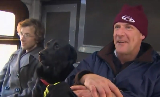 Eclipse riding the bus to the dog park without her owner (Photo: YouTube/AP) Eclipse riding the bus to the dog park without her owner (Photo: YouTube/AP)
