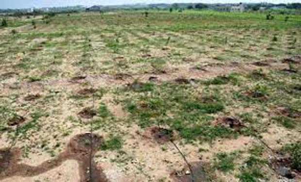 Land prices increased in Amaravati to a staggering Rs 5 crore to Rs 15 crore per acre