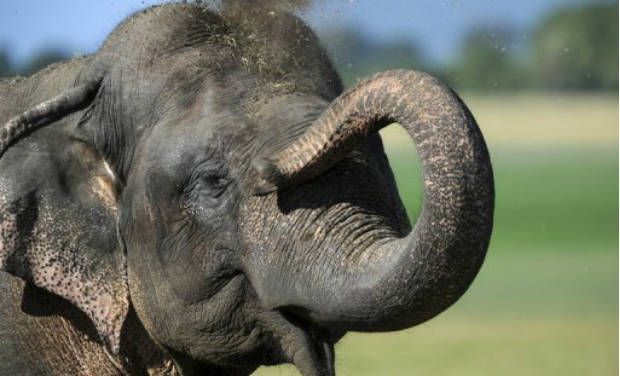 Representational image. (Photo: File) Representational image. (Photo: File)