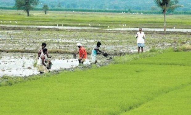 As many as 300 farmers of the above mentioned villages alleged that the officials are excluding some villages from land pooling, where the TD and the BJP leaders have their lands. (PHoto: DC/File) As many as 300 farmers of the above mentioned villages alleged that the officials are excluding some villages from land pooling, where the TD and the BJP leaders have their lands. (PHoto: DC/File)