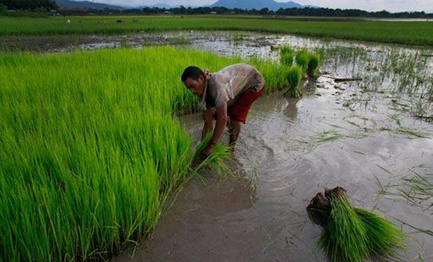 Picture used for representational purpose. (Photo: DC) Picture used for representational purpose. (Photo: DC)