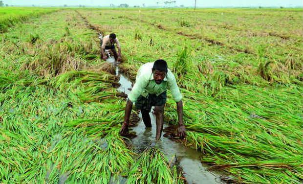 Representational image. (Photo: PTI) Representational image. (Photo: PTI)
