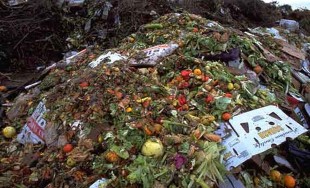 Gulf countries among world's top generators of food waste