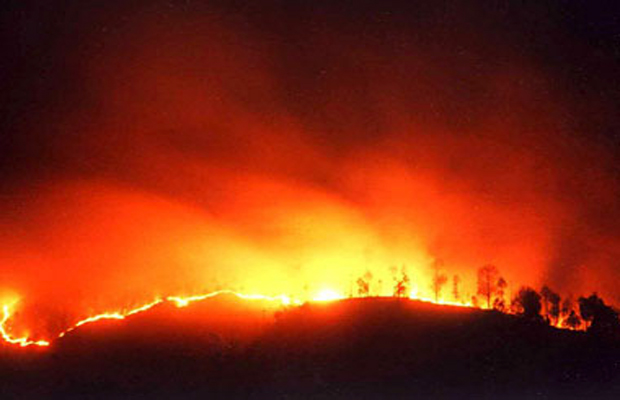 Representational Picture (Photo: AFP) Representational Picture (Photo: AFP)