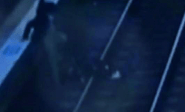A videograb taken from YouTube shows Singh jumping on the tracks to save his granddaughter. (Photo: via Web) A videograb taken from YouTube shows Singh jumping on the tracks to save his granddaughter. (Photo: via Web)