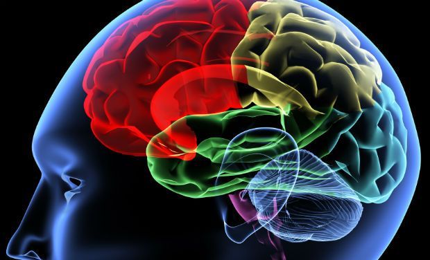 Epilepsy has strong psychological effects and this is harmful as it is detrimental in ensuring the complete and proper treatment of the disease. Epilepsy has strong psychological effects and this is harmful as it is detrimental in ensuring the complete and proper treatment of the disease.
