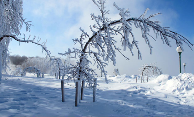 Mini ice age headed our way by 2030