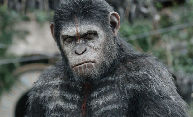A still from 'Dawn of the Planet of the Apes'. Photo: AP A still from 'Dawn of the Planet of the Apes'. Photo: AP