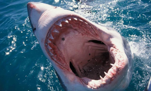 Representational picture (Photo: AFP) Representational picture (Photo: AFP)
