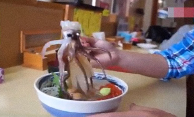 The man in the video picks up the squid with chopsticks and takes a bite (Photo: Screen grab) The man in the video picks up the squid with chopsticks and takes a bite (Photo: Screen grab)