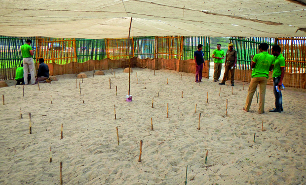 Forest department hatchery at Besant Nagar beach that preserves turtle eggs under safe temperatures (Photo: DC) Forest department hatchery at Besant Nagar beach that preserves turtle eggs under safe temperatures (Photo: DC)