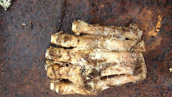 The remains of what appears to be a foot of Yeti. (photo: AFP) The remains of what appears to be a foot of Yeti. (photo: AFP)