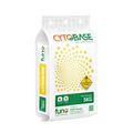 CYTOBASE NPK 15-30-15+MgO+TE  - ảnh 6