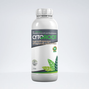 Phân bón hữu cơ CYTOROOT