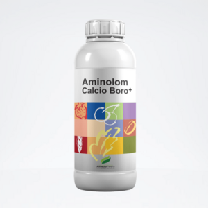 Canxi Bo Amino