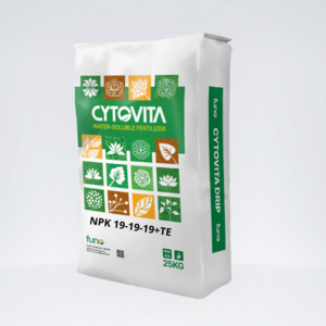 CYTOVITA SF NPK 19-19-19+TE