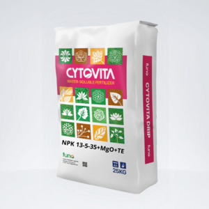 Kỹ thuật bón phân NPK cho cây ăn trái đạt năng suất cao