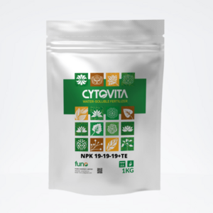 Những điều cần biết khi bón NPK cho cây cảnh