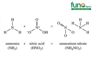 Phân bón amoni nitrat là gì? Ứng dụng trong nông nghiệp