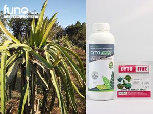 Những điều bạn cần biết về phân bón lá hữu cơ