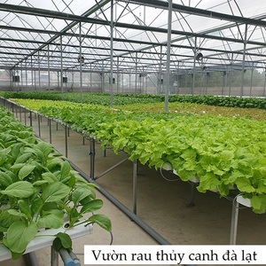 Địa chỉ mua dung dịch dinh dưỡng thủy canh uy tín
