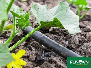 Tại sao phải sử dụng hệ thống tưới nhỏ giọt?