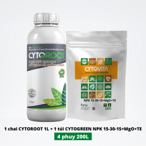 Phục hồi dây Thanh Long