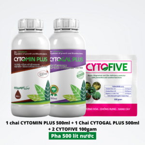 Chống vàng đầu trụ Thanh long