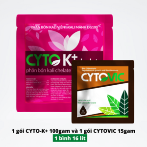 Lên Màu - Xóa Lem Thanh Long