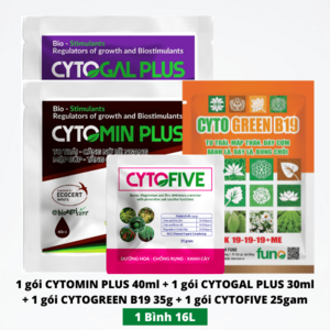 Dưỡng trái non Thanh Long