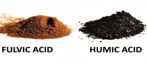 PHÂN BIỆT HUMIN, HUMIC ACID, FULVIC ACID, HUMATE, FULVATE