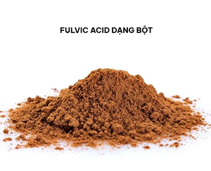 7 ƯU ĐIỂM CỦA AXIT FULVIC GIÚP TĂNG NĂNG SUẤT, CHẤT LƯỢNG NÔNG SẢN