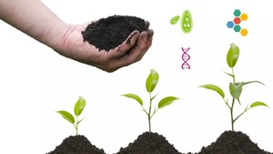 Tìm hiểu công dụng của 4 loại phân hữu cơ vi sinh