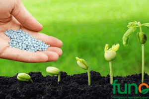 3 loại phân bón lá trung vi lượng tốt nhất hiện nay