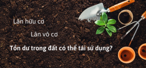 TÁI SỬ DỤNG LÂN DƯ TRONG ĐẤT - GIÚP TIẾT KIỆM PHÂN BÓN