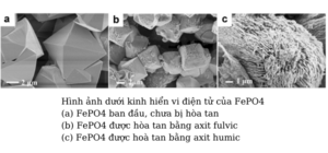 AXIT HUMIC GIÚP HÒA TAN LÂN KHÓ TIÊU, CẢI THIỆN ĐỘ PHÌ NHIÊU CỦA ĐẤT