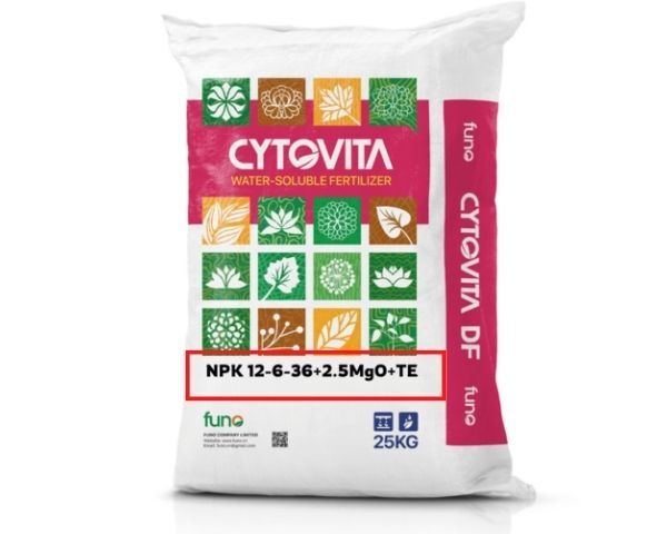 Phân bón CYTOVITA SF NPK 12-6-36+2.5MgO+TE