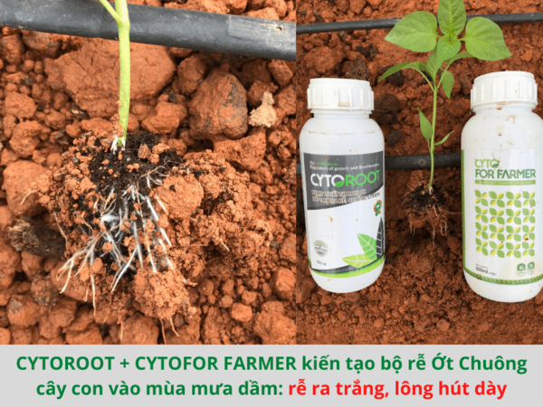 CYTOFOR FARMER - ảnh 4