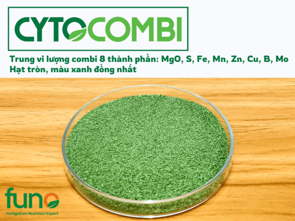 Phân bón lá trung vi lượng được ưa chuộng vì những lý do gì?