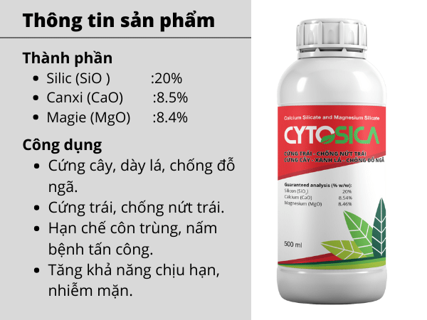 PHÂN BÓN SILIC CYTOSICA  - ảnh 4