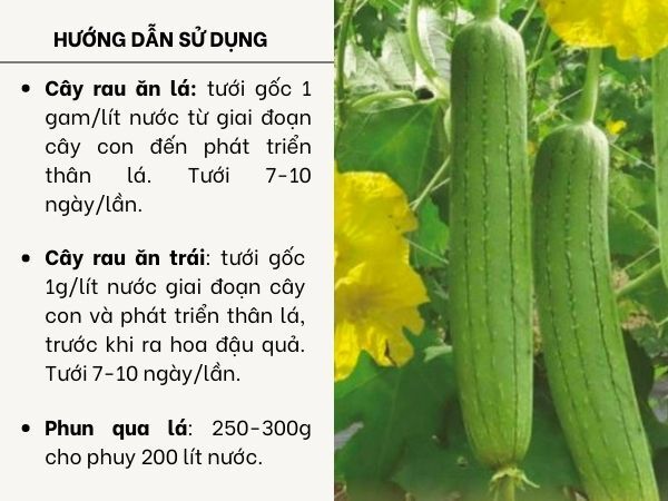 PHÂN BÓN CYTOBASE NPK 22-22-10+MgO+TE - ảnh 5