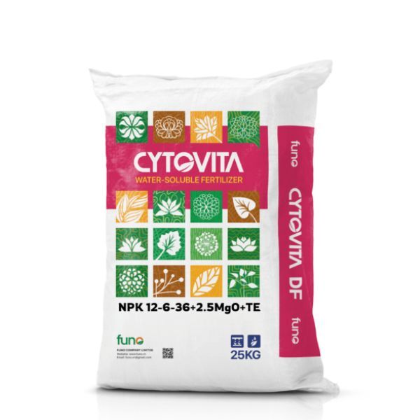 CYTOVITA SF NPK 12-6-36+2.5MgO+TE - ảnh 1
