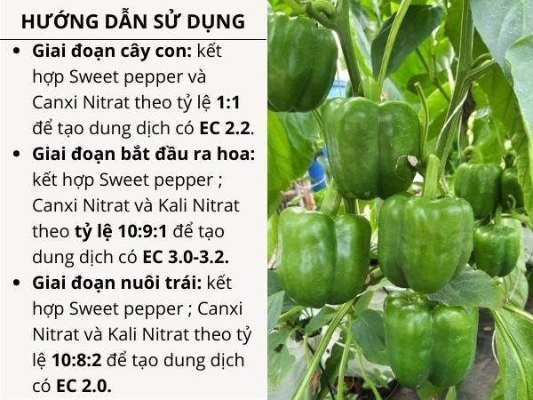 CYTOCARE SWEET PEPPER  - ảnh 5
