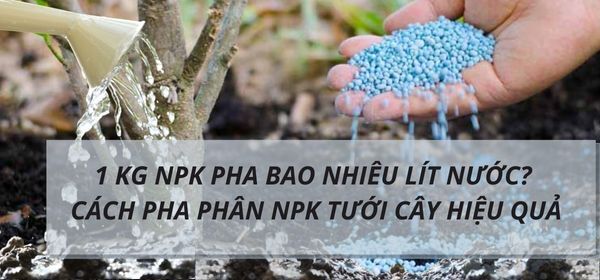 1 KG NPK PHA BAO NHIÊU LÍT NƯỚC? CÁCH PHA PHÂN NPK TƯỚI CÂY HIỆU QUẢ