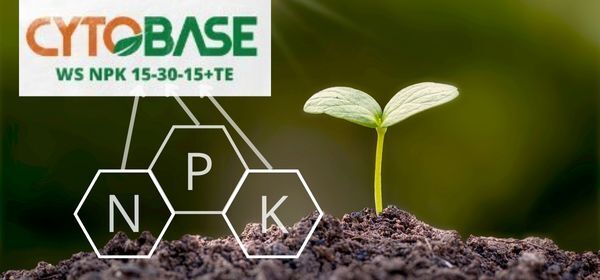 PHÂN BÓN NPK LÀ GÌ? ĐẶC ĐIỂM, TÍNH CHẤT VÀ NGUYÊN TẮC LỰA CHỌN - NHÀ NÔNG CẦN BIẾT