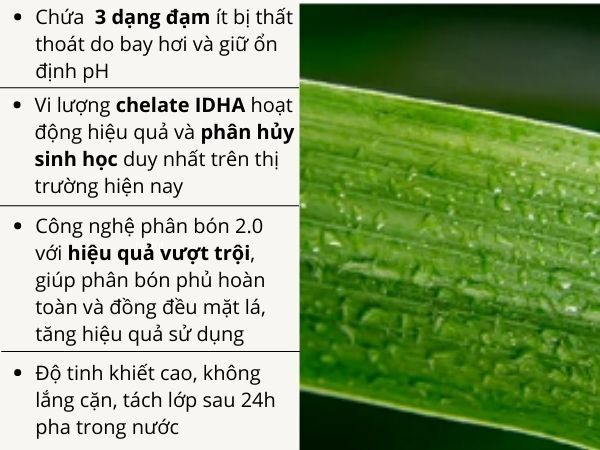 PHÂN BÓN CYTOGREEN N36 - ảnh 3