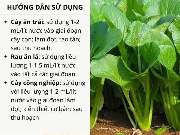 PHÂN BÓN CYTOGREEN N36 - ảnh 4