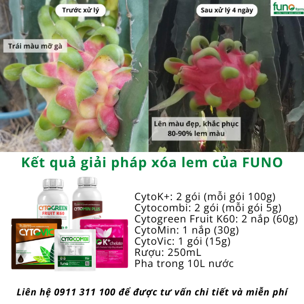 CYTOGREEN FRUIT K60 - ảnh 3
