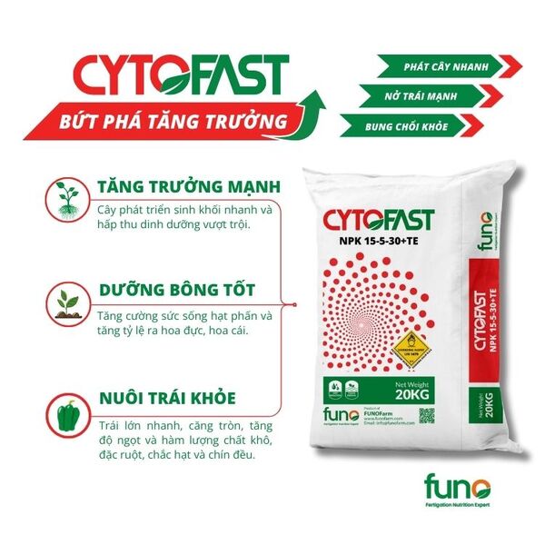 Phân bón CYTOFAST NPK 15-5-30+TE - ảnh 3